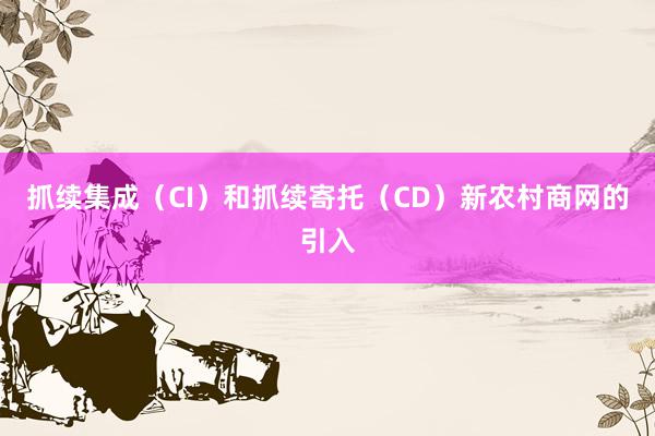 抓续集成（CI）和抓续寄托（CD）新农村商网的引入
